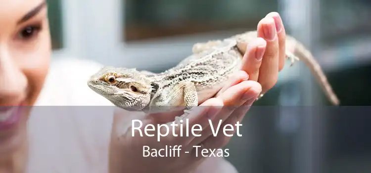 Reptile Vet Bacliff - Texas