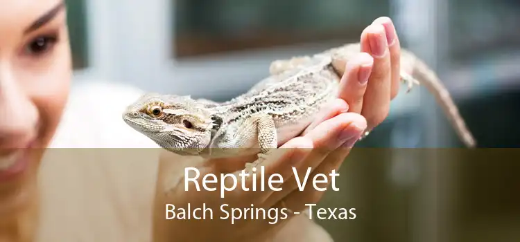 Reptile Vet Balch Springs - Texas