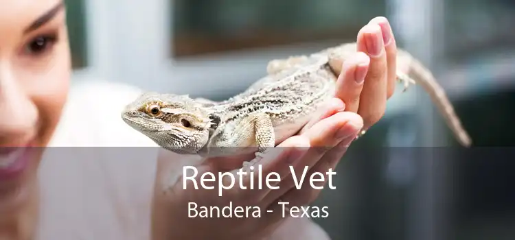 Reptile Vet Bandera - Texas