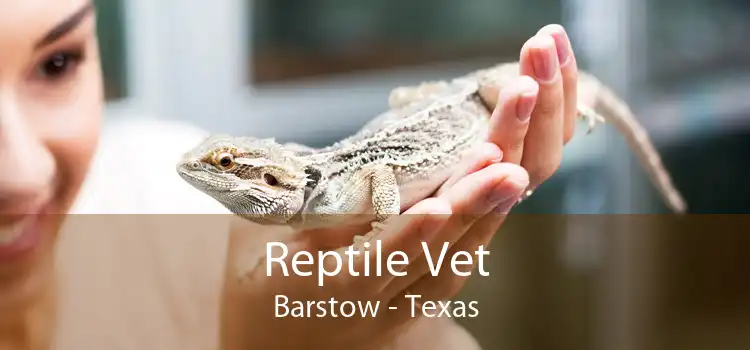 Reptile Vet Barstow - Texas