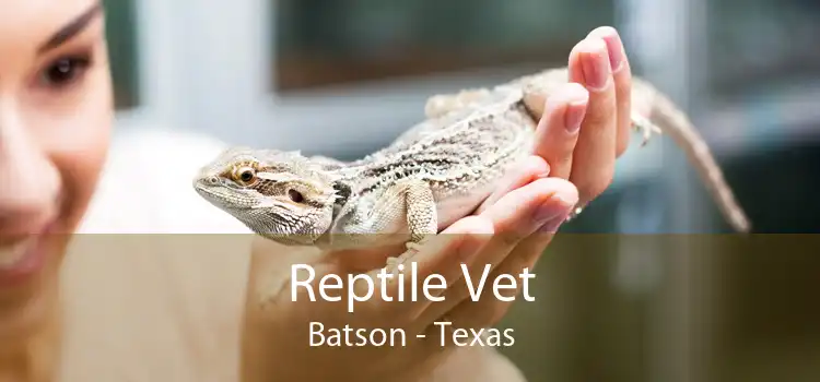 Reptile Vet Batson - Texas