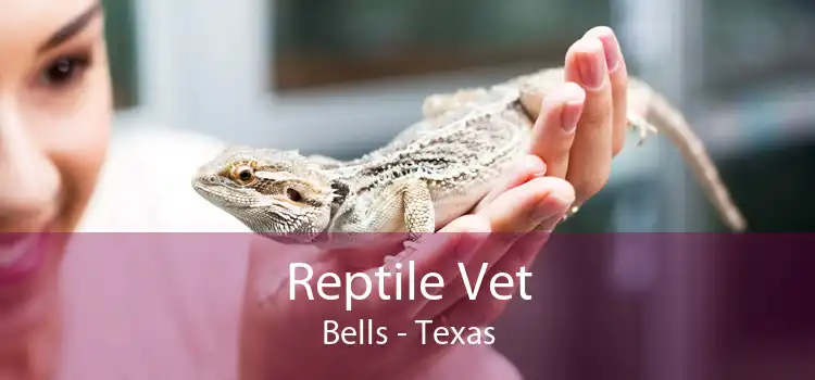 Reptile Vet Bells - Texas