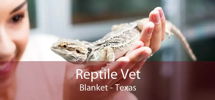 Reptile Vet Blanket - Texas