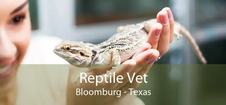 Reptile Vet Bloomburg - Texas