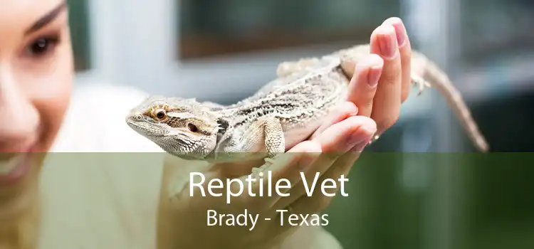 Reptile Vet Brady - Texas