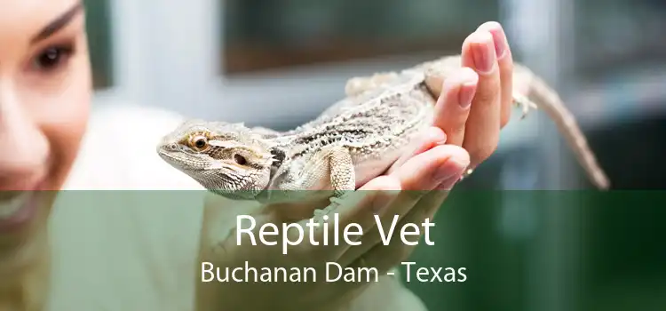 Reptile Vet Buchanan Dam - Texas