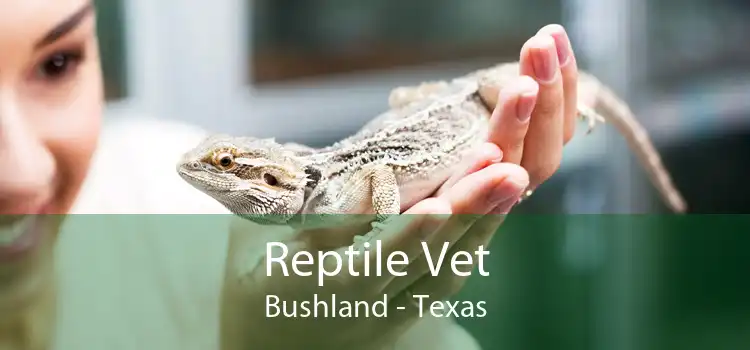 Reptile Vet Bushland - Texas