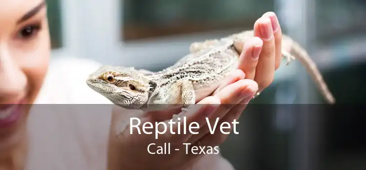 Reptile Vet Call - Texas