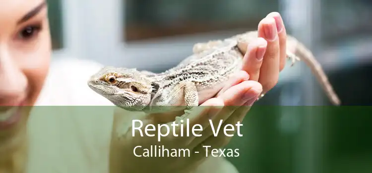 Reptile Vet Calliham - Texas