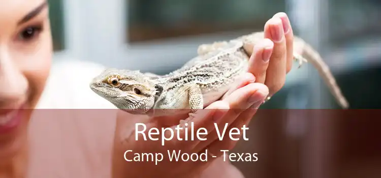 Reptile Vet Camp Wood - Texas