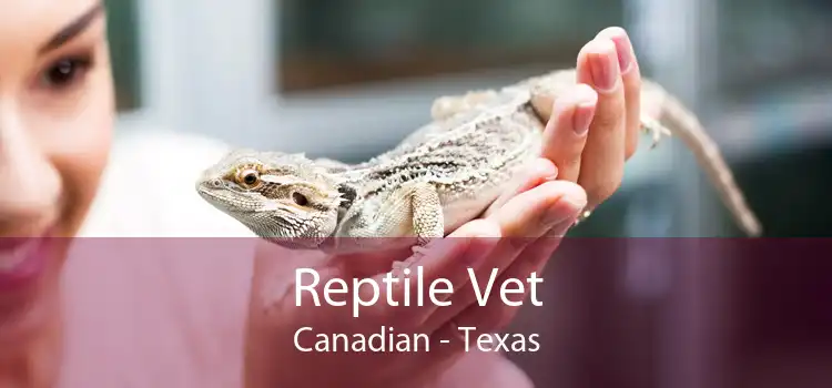 Reptile Vet Canadian - Texas