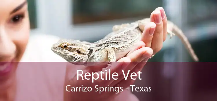 Reptile Vet Carrizo Springs - Texas