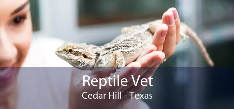 Reptile Vet Cedar Hill - Texas