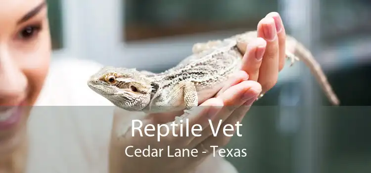 Reptile Vet Cedar Lane - Texas