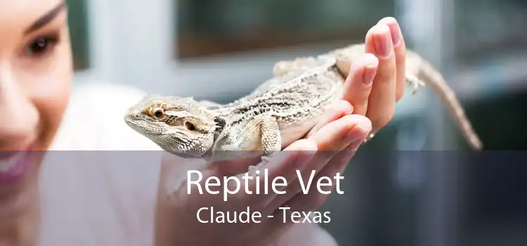 Reptile Vet Claude - Texas