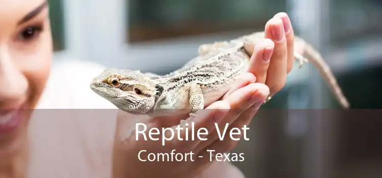 Reptile Vet Comfort - Texas