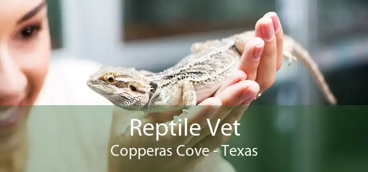 Reptile Vet Copperas Cove - Texas