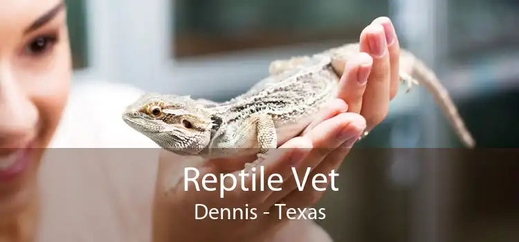 Reptile Vet Dennis - Texas