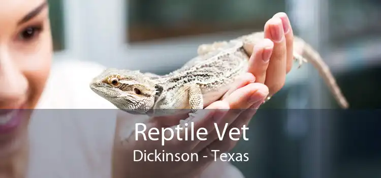 Reptile Vet Dickinson - Texas