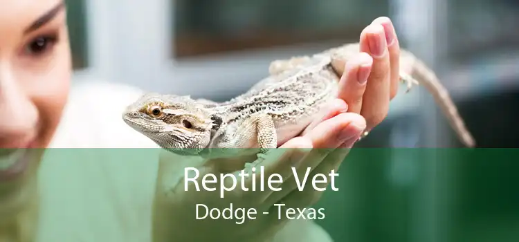 Reptile Vet Dodge - Texas