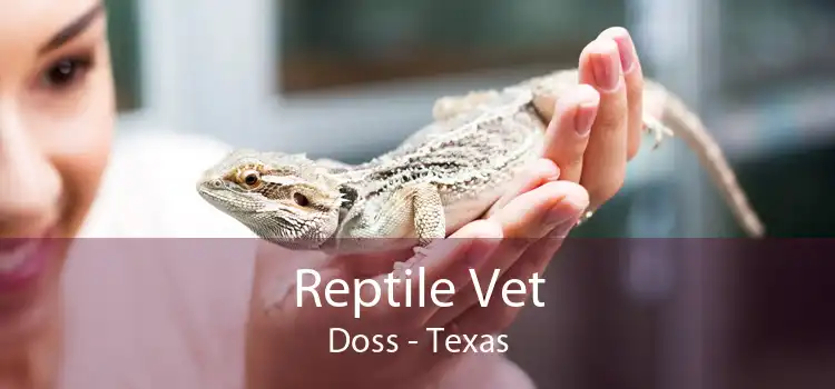 Reptile Vet Doss - Texas