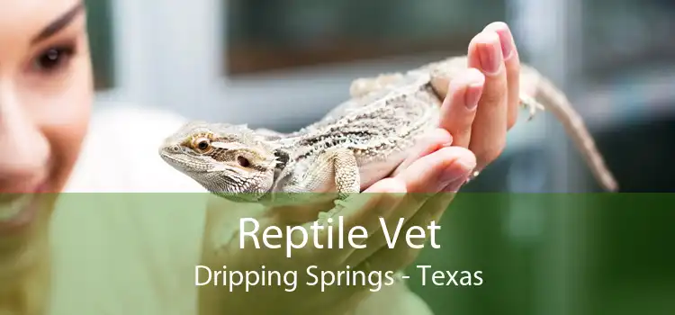 Reptile Vet Dripping Springs - Texas