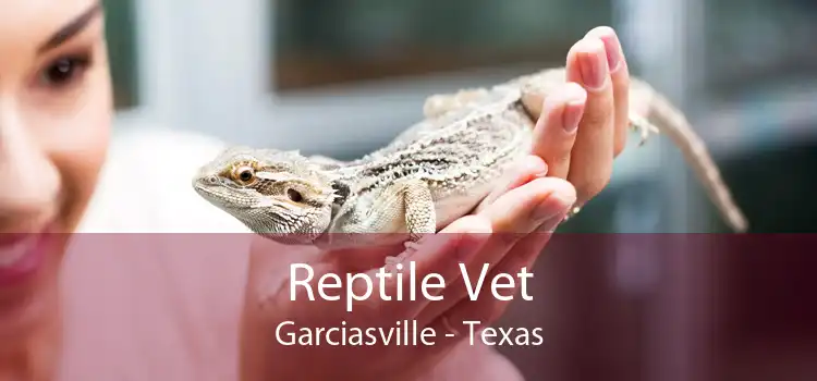 Reptile Vet Garciasville - Texas