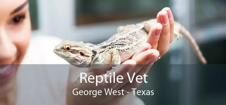 Reptile Vet George West - Texas