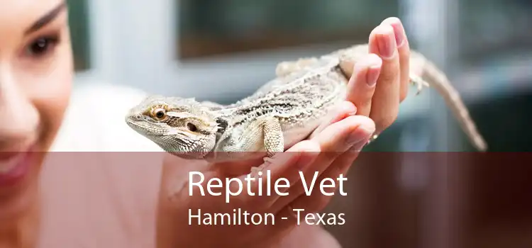 Reptile Vet Hamilton - Texas