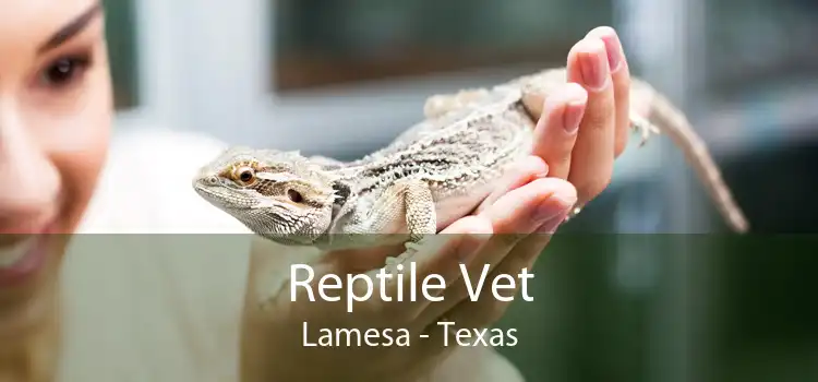 Reptile Vet Lamesa - Texas