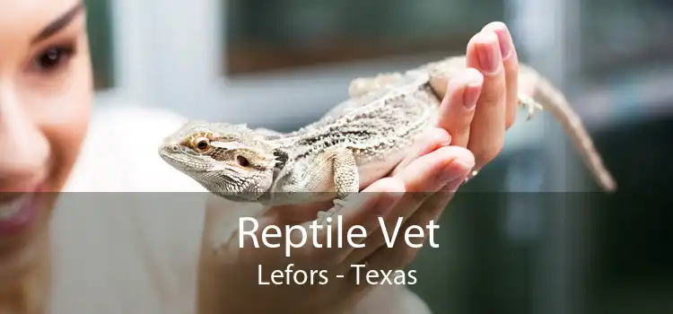 Reptile Vet Lefors - Texas