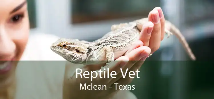 Reptile Vet Mclean - Texas