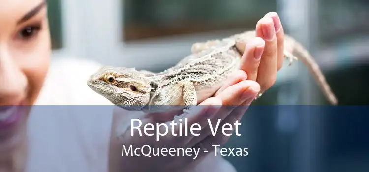 Reptile Vet McQueeney - Texas