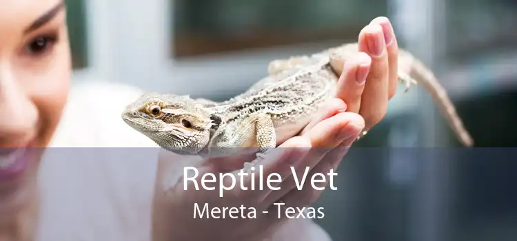 Reptile Vet Mereta - Texas