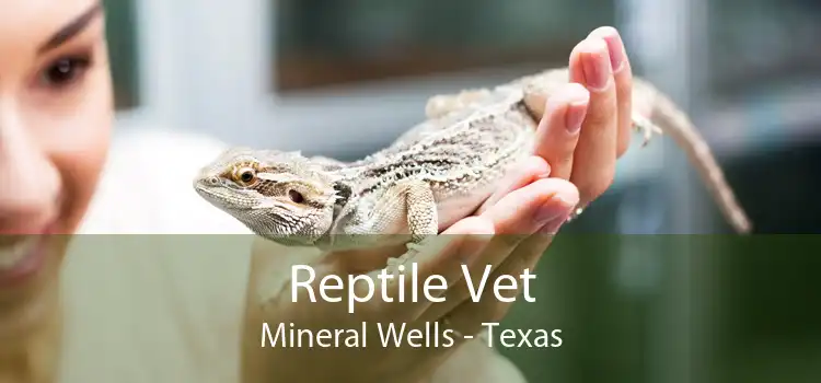 Reptile Vet Mineral Wells - Texas