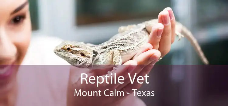 Reptile Vet Mount Calm - Texas