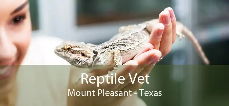 Reptile Vet Mount Pleasant - Texas