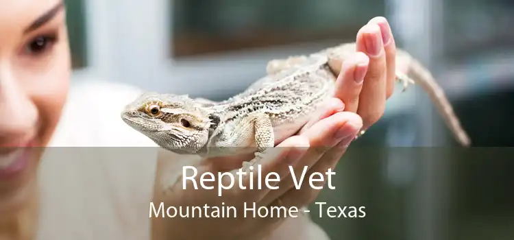 Reptile Vet Mountain Home - Texas