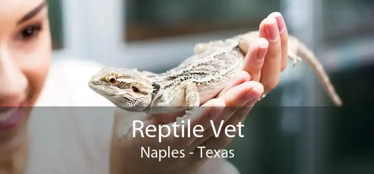 Reptile Vet Naples - Texas