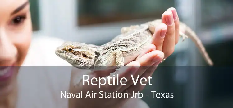 Reptile Vet Naval Air Station Jrb - Texas