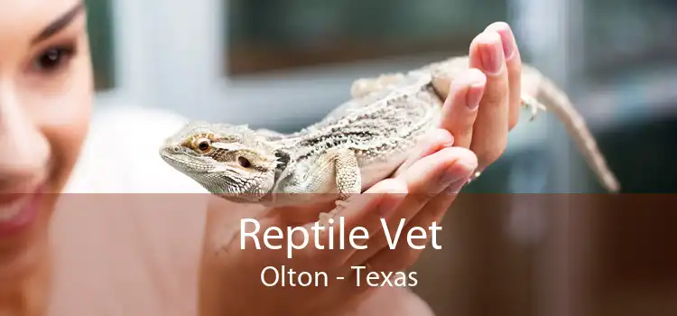 Reptile Vet Olton - Texas