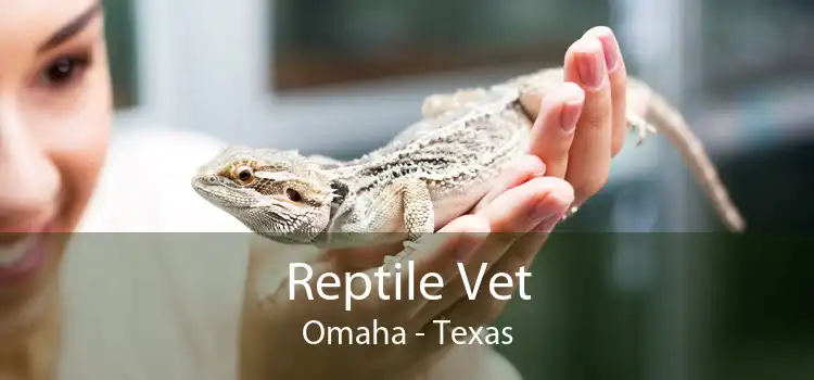 Reptile Vet Omaha - Texas