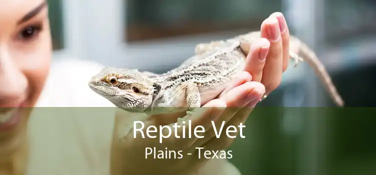 Reptile Vet Plains - Texas