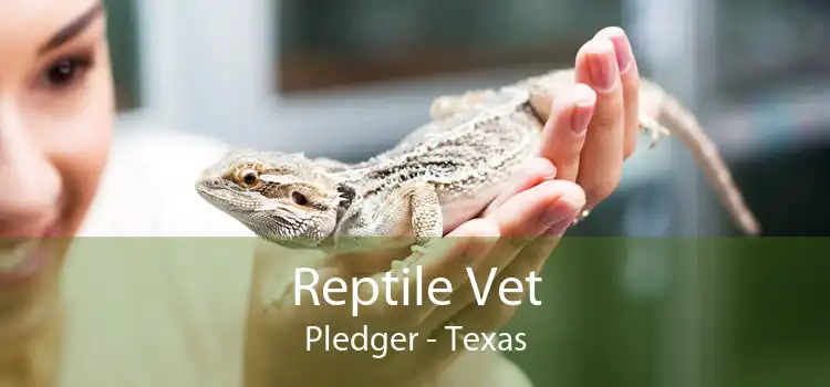 Reptile Vet Pledger - Texas