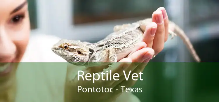 Reptile Vet Pontotoc - Texas