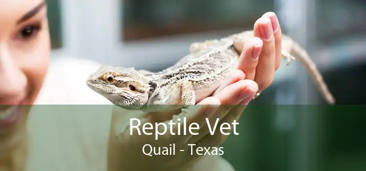 Reptile Vet Quail - Texas