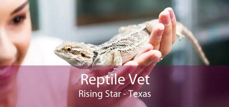 Reptile Vet Rising Star - Texas