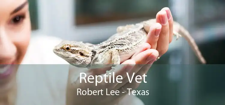 Reptile Vet Robert Lee - Texas