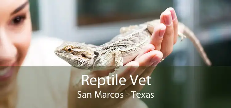 Reptile Vet San Marcos - Texas