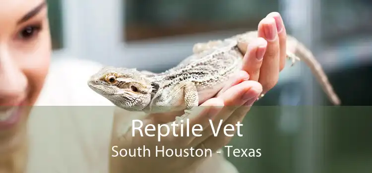 Reptile Vet South Houston - Texas